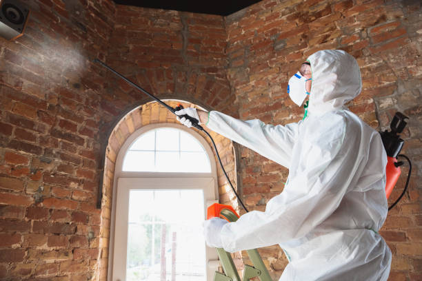 Best Comprehensive Air Testing for Mold Contaminants  in Meridianville, AL