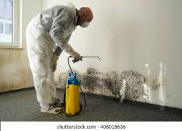 Why You Should Choose Our Mold Remediation Services in Meridianville, AL